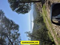 Resim14237